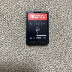 switch スカイリム🗡️