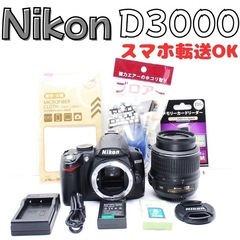 軽くて使いやすい！Nikon D3000で旅・日常・人物撮影を楽...