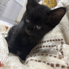生後1ヵ月半 男の子