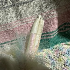ty ヴィンテージ　ユニコーンの画像