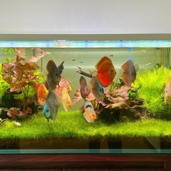 水槽セット 120cm