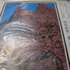 （中古EPレコード）マドンナの宝石