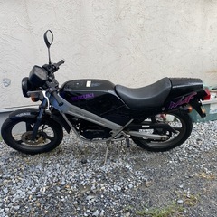 スズキ　ウルフ50 wolf 実働　2スト