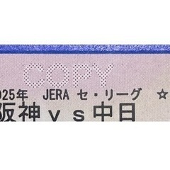 阪神vs中日　5月11日(日)甲子園野球チケット2連