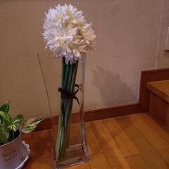 硝子花びん
