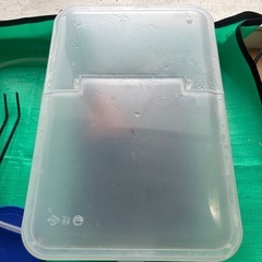 サワガニ飼育セット　生体込みの画像