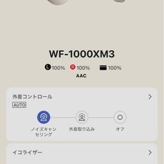 SONY イヤホン WF-1000XM3の画像