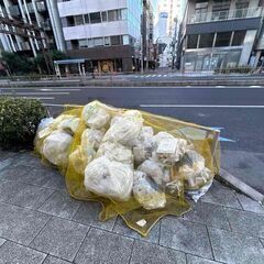 要運転免許(原付バイク) / 文京周辺担当～マンション清掃の指導員/未経験者可の画像