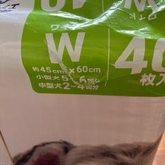 決まりました！ペットシーツ　ワイド　未使用新品の画像