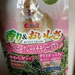 バニーグレードチモシーソフト
