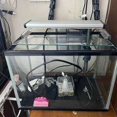 ガラス水槽セット(36cmx26cmx22cm)