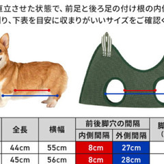 【新品未使用】グルーミングハンモックSサイズ（グリーン）の画像