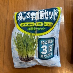 猫草と猫トイレチップセット