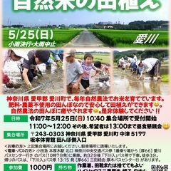 令和７年度　自然米の田植え