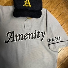シニア還暦世代の野球メンバー募集　杉並AS - メンバー募集