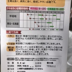 野菜苗の画像