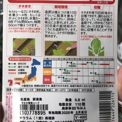 野菜苗の画像