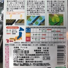 野菜苗の画像