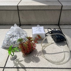 ポンプと底石、飾りのセット