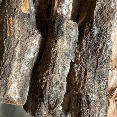 木材　薪の画像
