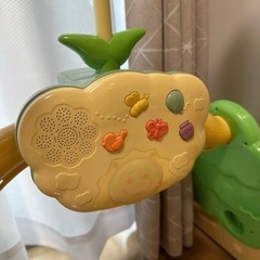 プーメリーの画像
