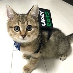 🌈みんなで楽しく　グル通　オフ会　新メンバー大募集🌈☺️