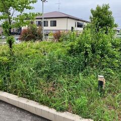 「草取り・剪定にご協力ください」～かきつばたの里の庭を、優しい手で守ってください～ - 名古屋市