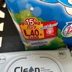 オムツLサイズ＋おしりふきの画像