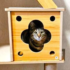 かわいいポンくん！ - 生駒市