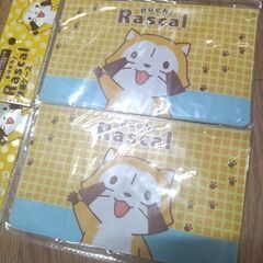 ラスカル☆新品未使用未開封！通帳ケース2個セット♪