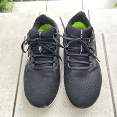 NIKE AIR ZOOM PEGASUS 38ナイキ エア ズ...