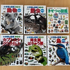 小学館の図鑑　NEO