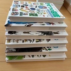 小学館の図鑑　NEOの画像