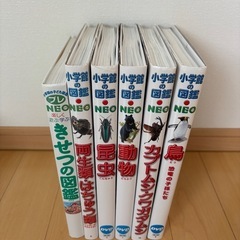 小学館の図鑑　NEOの画像