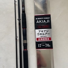 Daiwa ダイワ LIBERTY FORCE AKIAJI 北海道特注 リバティーフォース アキアジ ウキルアー AK-1203H 中古品  北海道の釣り  鮭釣り サケ釣り  の画像