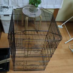 鳥かごの画像