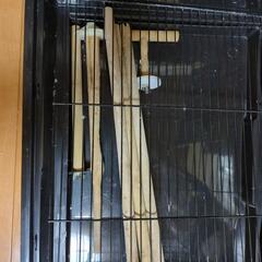 鳥かごの画像