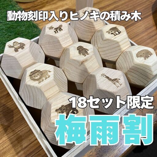 【18セット限り梅雨割】通常16,500円→梅雨割12,000円　脳トレ積み木ブロック　OHAKO ZOO　18個桐箱入り