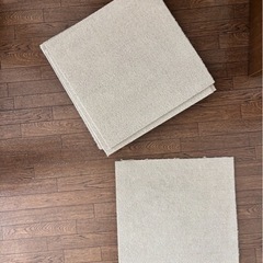 ニトリ50cm×50cmのタイルカーペット