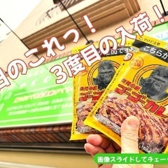 ゴーゴーカレー（冷凍） 3度目の入荷です！
