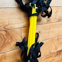 トレーニング？ラダー