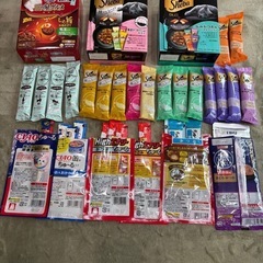 猫の餌・おやつの画像