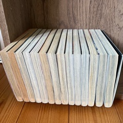 新世紀エヴァンゲリオン　コミック　全14巻セットの画像