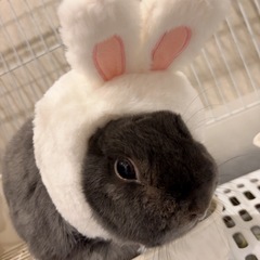 長くお付き合いできる方募集