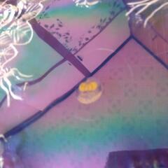 新品未使用品(^^)メイドインジャパン曽我ガラス　直径36cm 大皿の画像