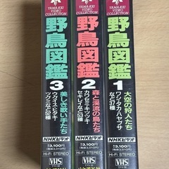 (取引中) NHKビデオ　野鳥図鑑　3本