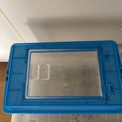 虫かご、カブトムシ
の画像