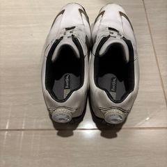 ゴルフシューズ25cmの画像