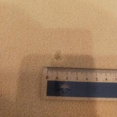 トゥルースリーパー シングル 厚さ3.5cmの画像