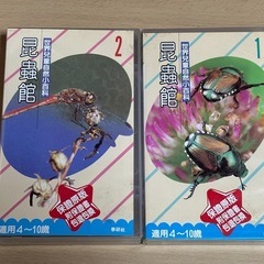 (取引中) 
昆虫館　VHSビデオ 甲虫とトンボ　台湾　中国語